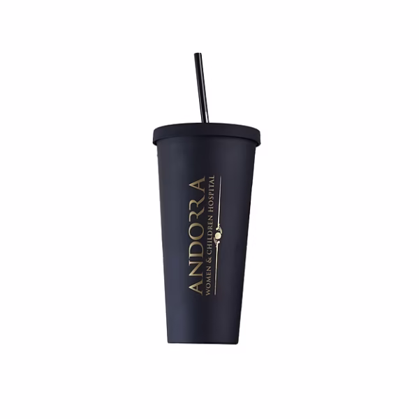 Andorra Matte Black Tumbler with Straw